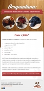 2041186 email acupuntura