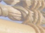 2065106 foto site.png