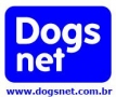 679188 dogs