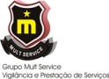742076 mult service